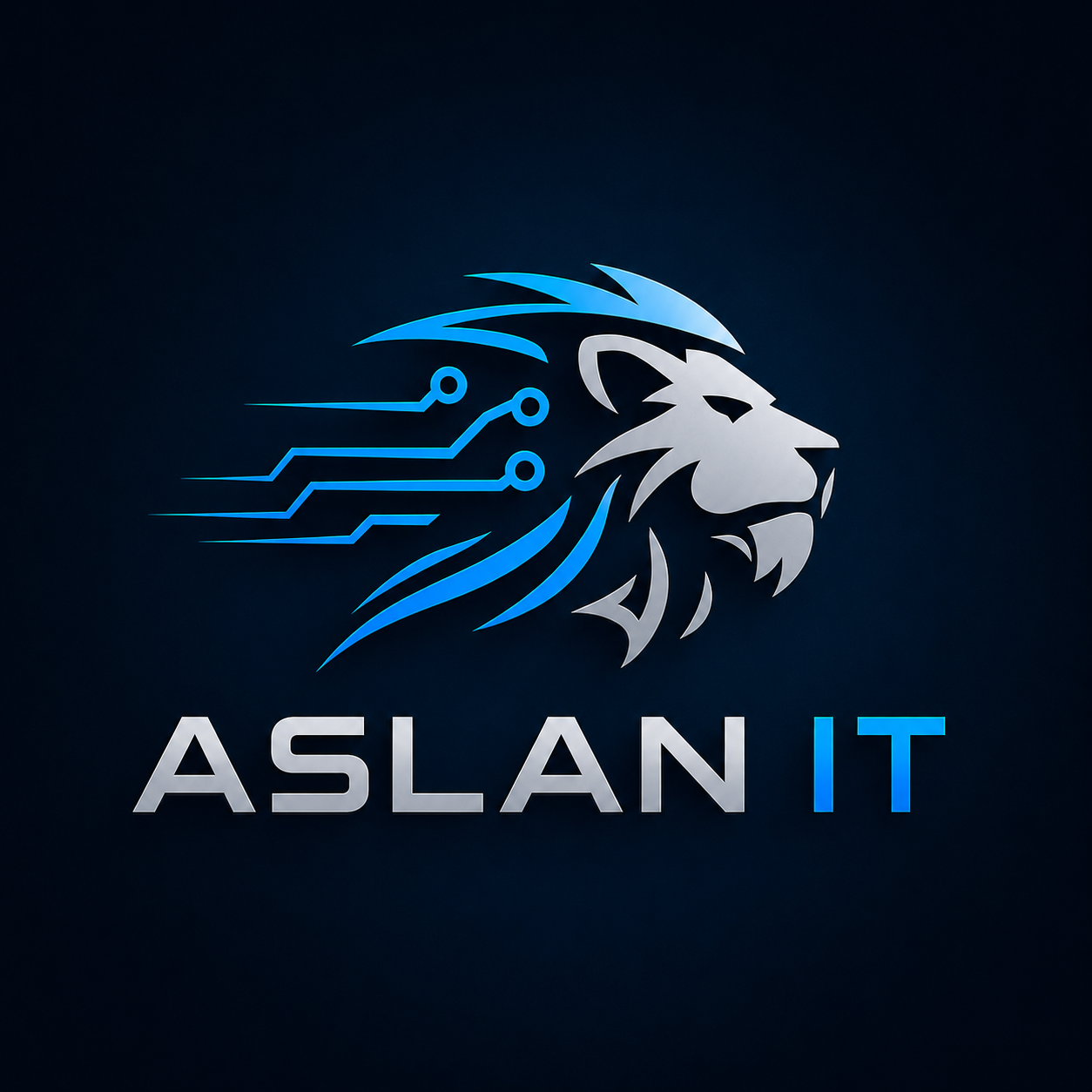 ASLAN IT